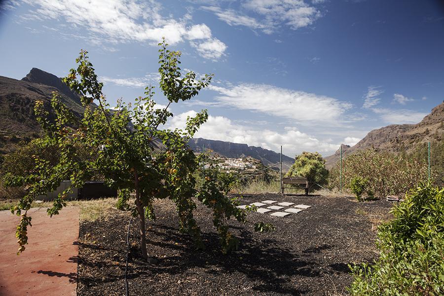 Fátaga Ecotara Canary Islands旅馆 客房 照片