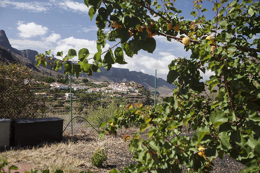Fátaga Ecotara Canary Islands旅馆 客房 照片