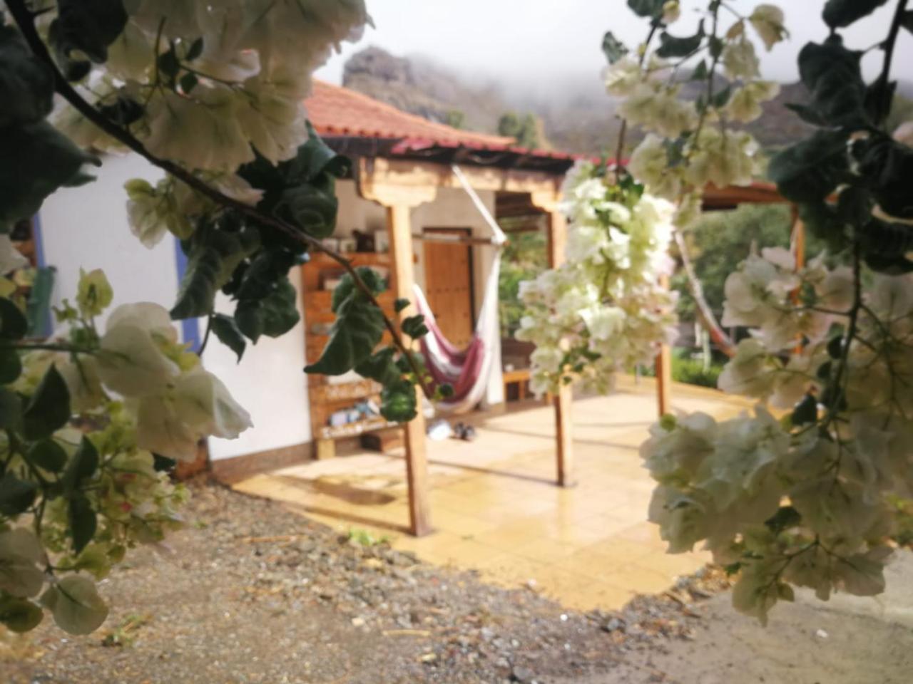 Fátaga Ecotara Canary Islands旅馆 外观 照片